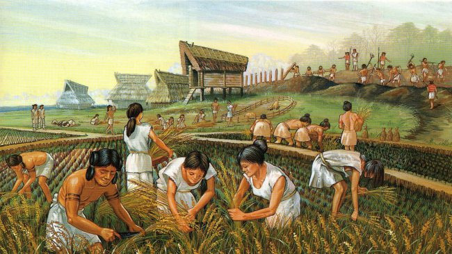 tarım toplumu ile ilgili görsel sonucu